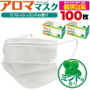 【 領収書発行可能 】 アロマ マスク ミント 個別包装 100枚セット ● カラオケ スナック クラブ 飲食店 結婚式 葬儀 講演 イベント などの 業務用 に マイク を 外しても 飛沫 対策 に 大活躍! / フェイスシールド フェイスカバー マイクシールド